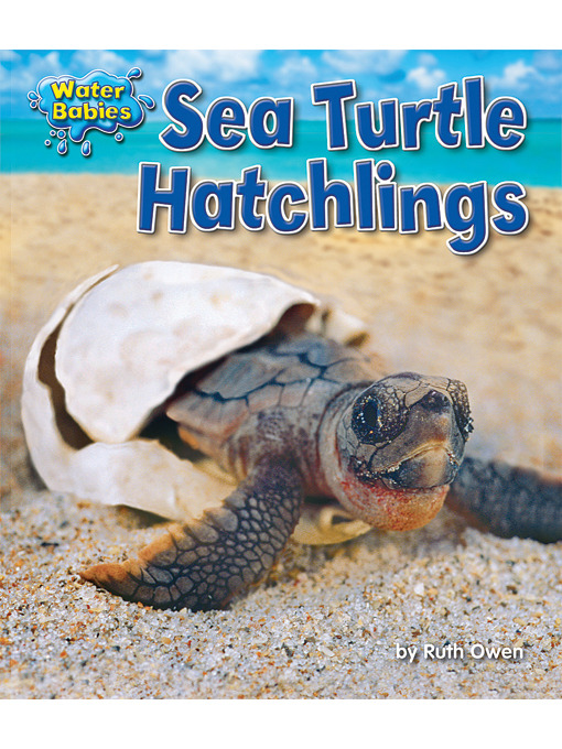Title details for Sea Turtle Hatchlings by Ruth Owen - Available